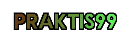 PRAKTIS99 Logo